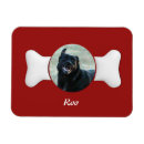 Search for bones magnets Pet
