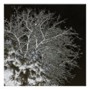 Search for spooky tree Branches