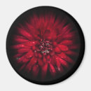 Search for backyard magnets Nature