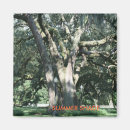 Search for weep magnets Tree