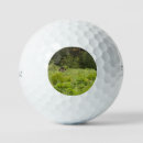Search for moose golf balls Hiking
