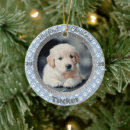 Search for paw with christmas tree decorations Dog