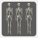 Search for human bones stickers Skeleton