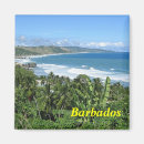 Search for barbados magnets Souvenir