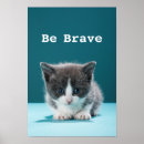 Search for nosy posters Kitten