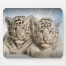 Search for cubs electronics Wildcats