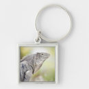 Search for green iguana key rings Animal