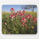 Search for larry ditto mouse mats Landscape