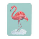 Search for flamingos magnets Bird