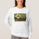 Search for viticulture tshirts Wine country