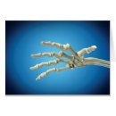 Search for human bones Medicine