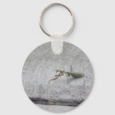Search for mantids key rings Praying