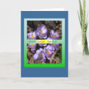 Search for vernal equinox cards Seasons