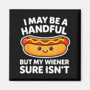 Search for adult magnets Minimal