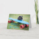 Search for coco cards Cute