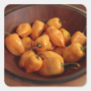 Search for high life stickers High angle view