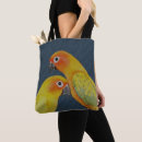Search for sun conure accessories Cute