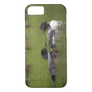 Search for loon iphone cases Minnesota