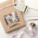 Search for fluffy dog stickers Bichon frise