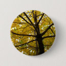 Search for autumn tree badges Leaves