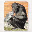 Search for chimp mouse mats Primates