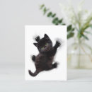 Search for climbing postcards Animal