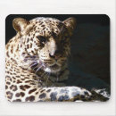 Search for zoo animals mouse mats Leopards