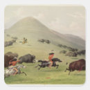 Search for american indian stickers Bison