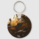 Search for alien worlds key rings Planets
