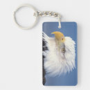Search for bald eagle key rings Portrait