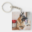 Search for restful key rings Puppy