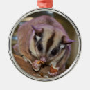 Search for sugar glider christmas tree decorations Animal