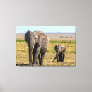 Search for kenya canvas prints Animal family