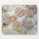 Search for florida seashells mouse mats Ocean