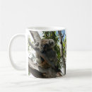 Search for wild koala mugs Australia