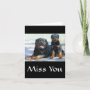 Search for rottweiler puppies cards Rottie