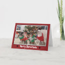 Search for boxer dog christmas cards Xmas