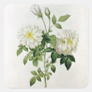 Search for hyacinth stickers Flower