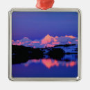 Search for dramatic christmas tree decorations Nobody