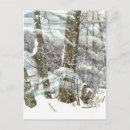Search for snowstorm postcards White