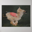 Search for afghan hound stuff art Pet