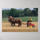 Search for amish posters Farming