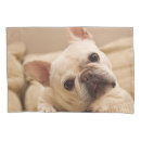 Search for french bulldog pillowcases Domestic animals