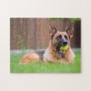 Search for tennis ball puzzles Cute