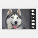 Search for husky puppy stickers Puppies