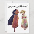 Search for amigo cards Dog