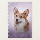 Search for corgis office supplies Beautiful