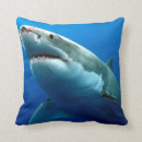 Search for shark cushions White