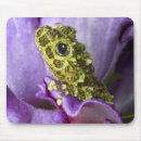 Search for mossy mouse mats Jaynes gallery