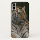 Search for siberian electronics Endangered